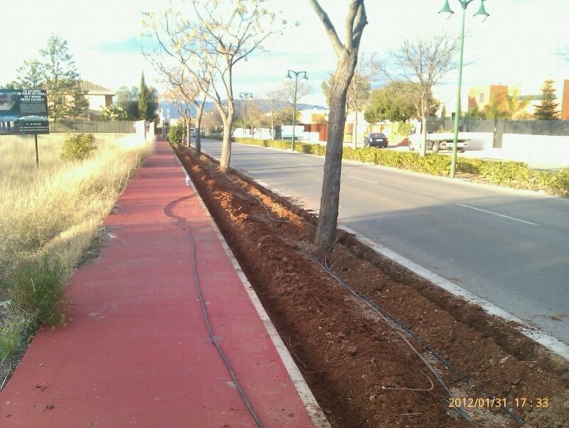 Una calle con los arboles podados